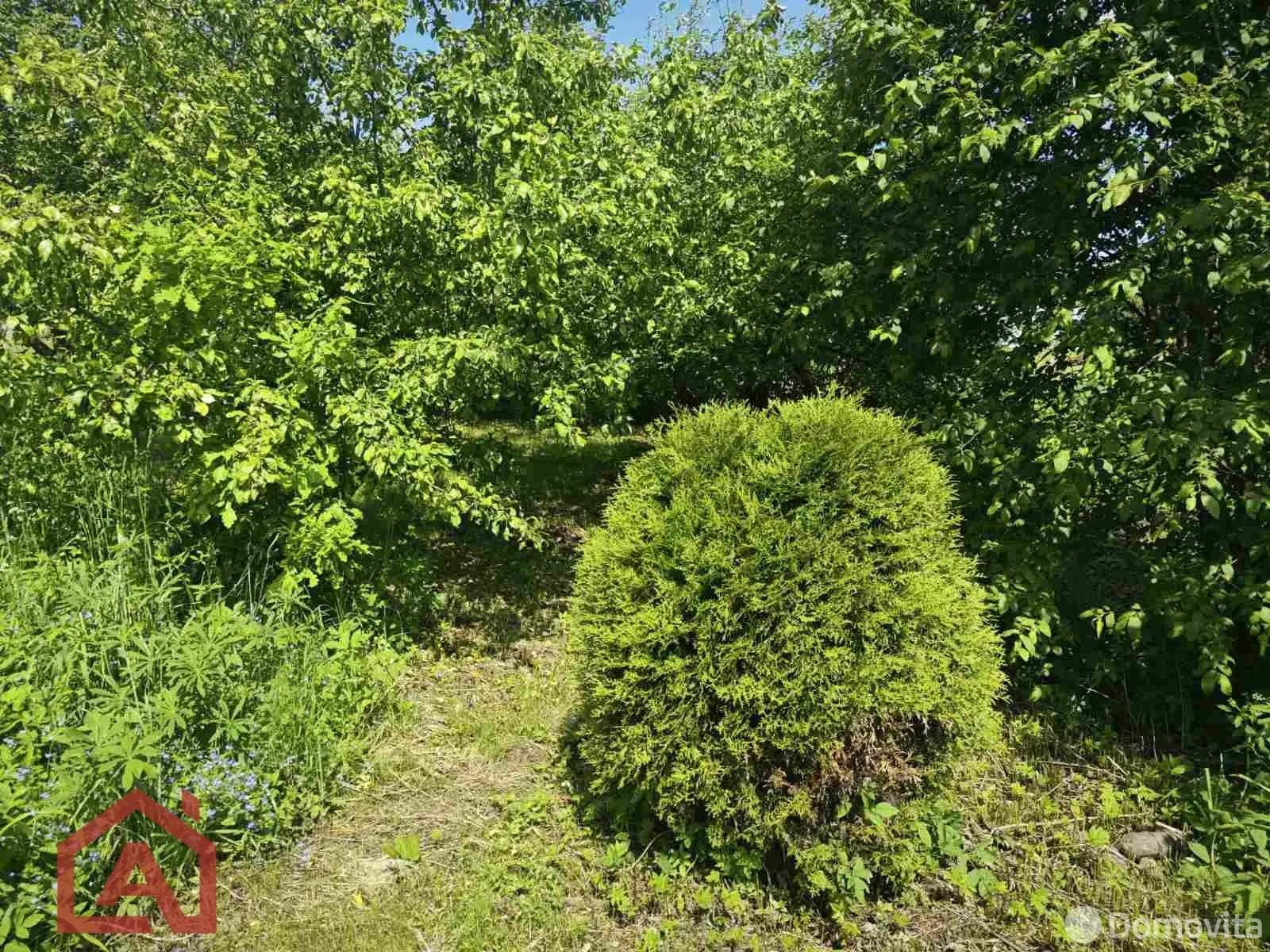 Купить земельный участок, 9 соток, Поляна, Минская область, 13000USD, код 571785 - фото 26