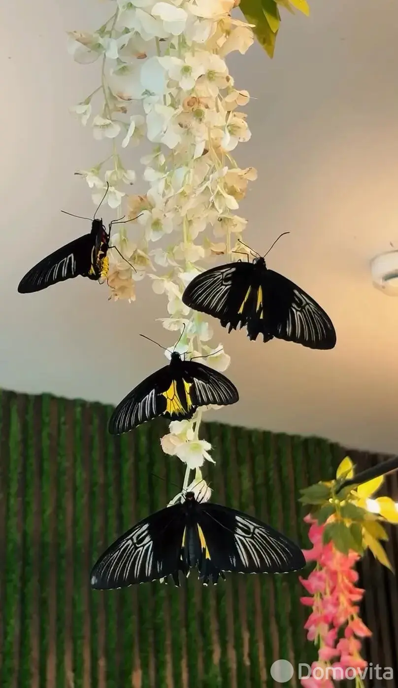 Купить помещение под сферу услуг в Минске, ул. Кирилла Туровского, д. 16 - фото 42