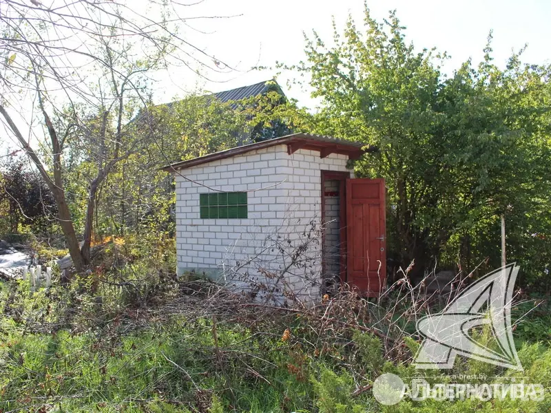 Купить 1-этажную дачу в Заречное-2008 Брестская область, 16000USD, код 180716 - фото 17