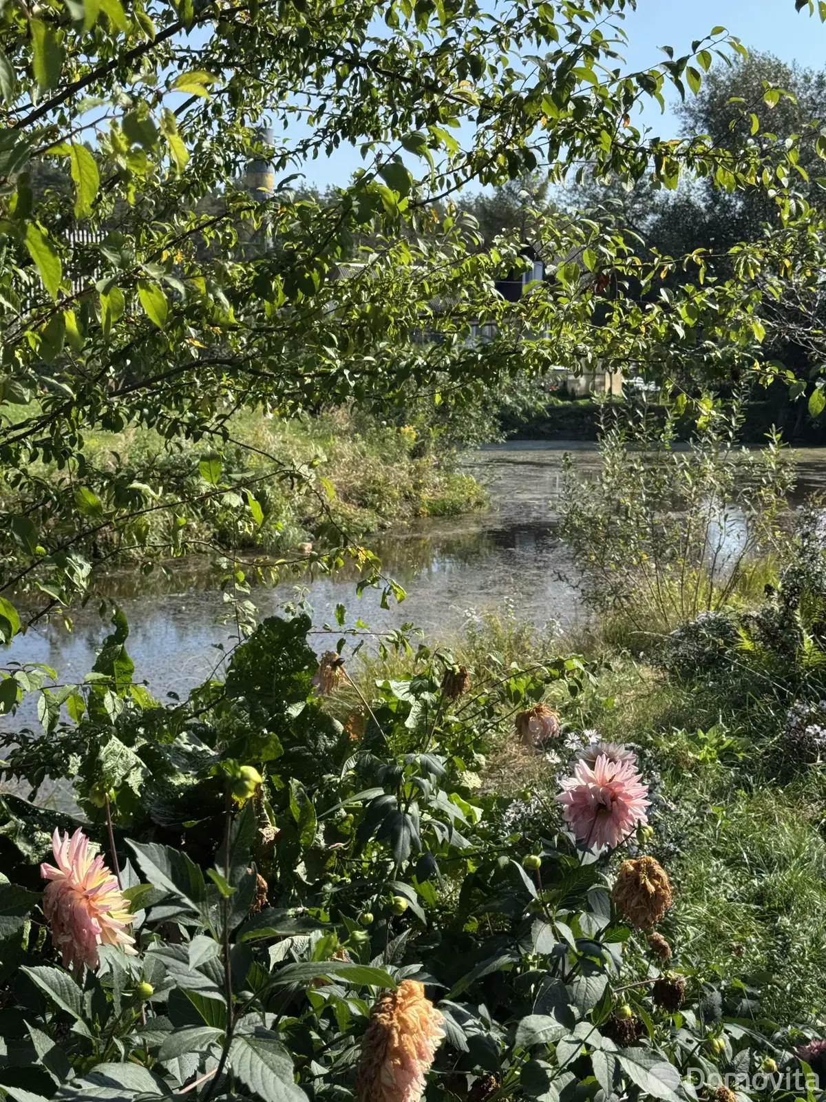 купить участок, Заря-81, д. 136