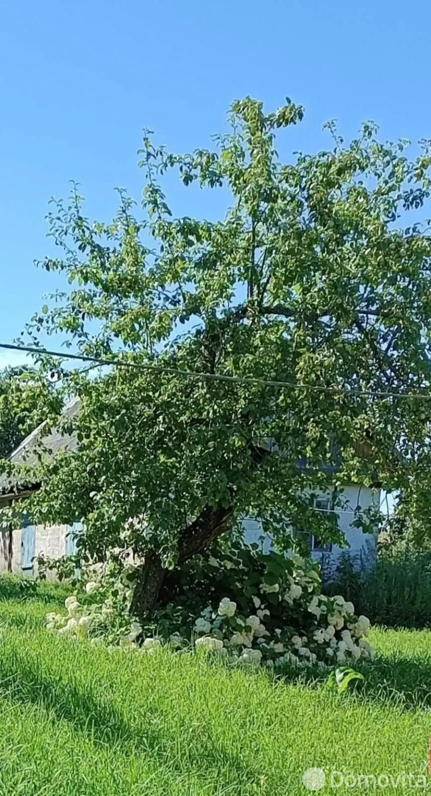 коттедж, Белые, , стоимость продажи 43 900 р.