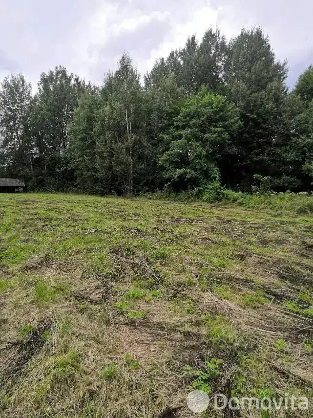 Купить земельный участок, 60 соток, Должа, Витебская область, 25000USD, код 570473 - фото 21