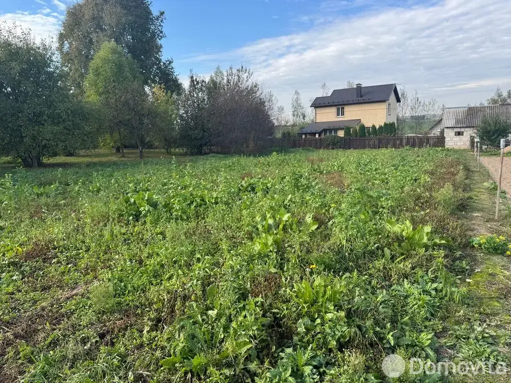 участок, Василевщина,