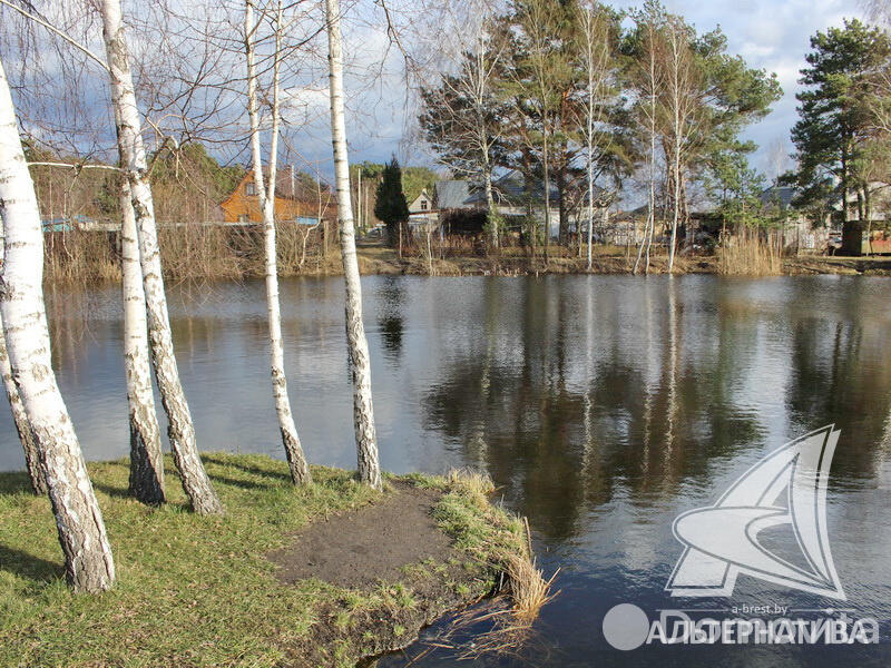 Купить земельный участок, 5.87 соток, Армеец-2, Брестская область, 19500USD, код 562176 - фото 12