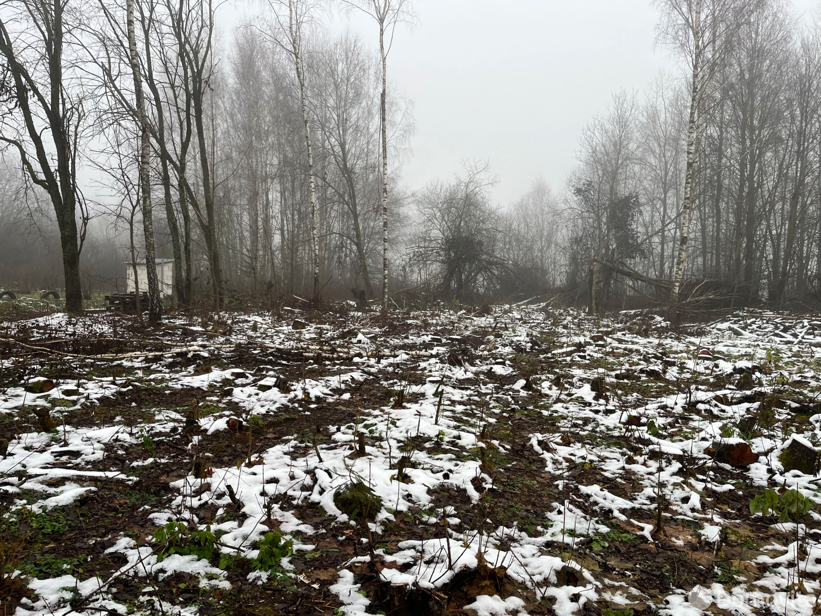 Цена продажи участка, Богданово, 