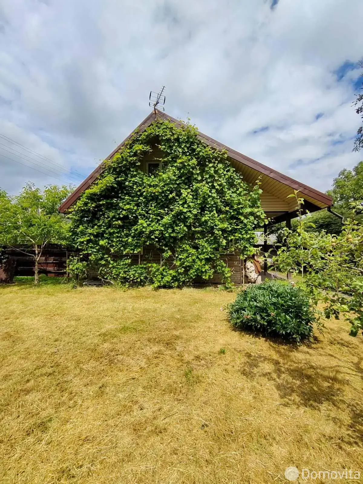 дача, Зенитчик,