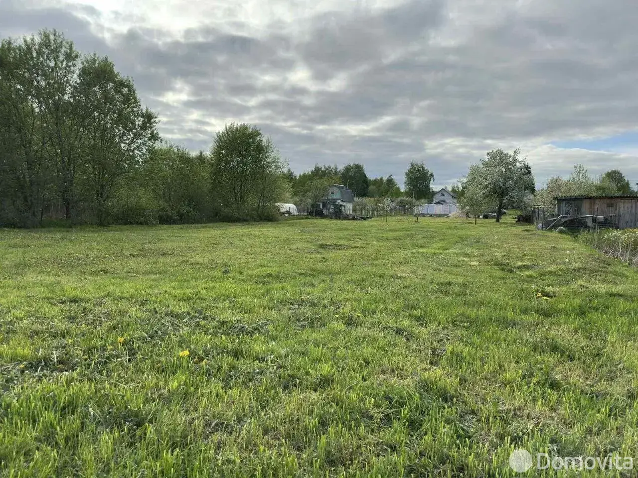 участок, Ромашка,