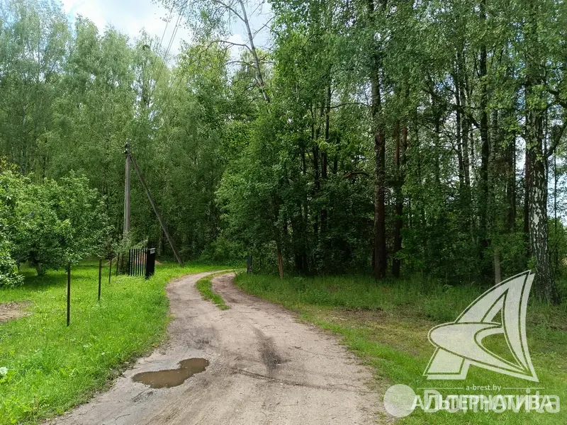 Купить земельный участок, 6.97 соток, Журавинка-83, Брестская область, 11500USD, код 570456 - фото 28