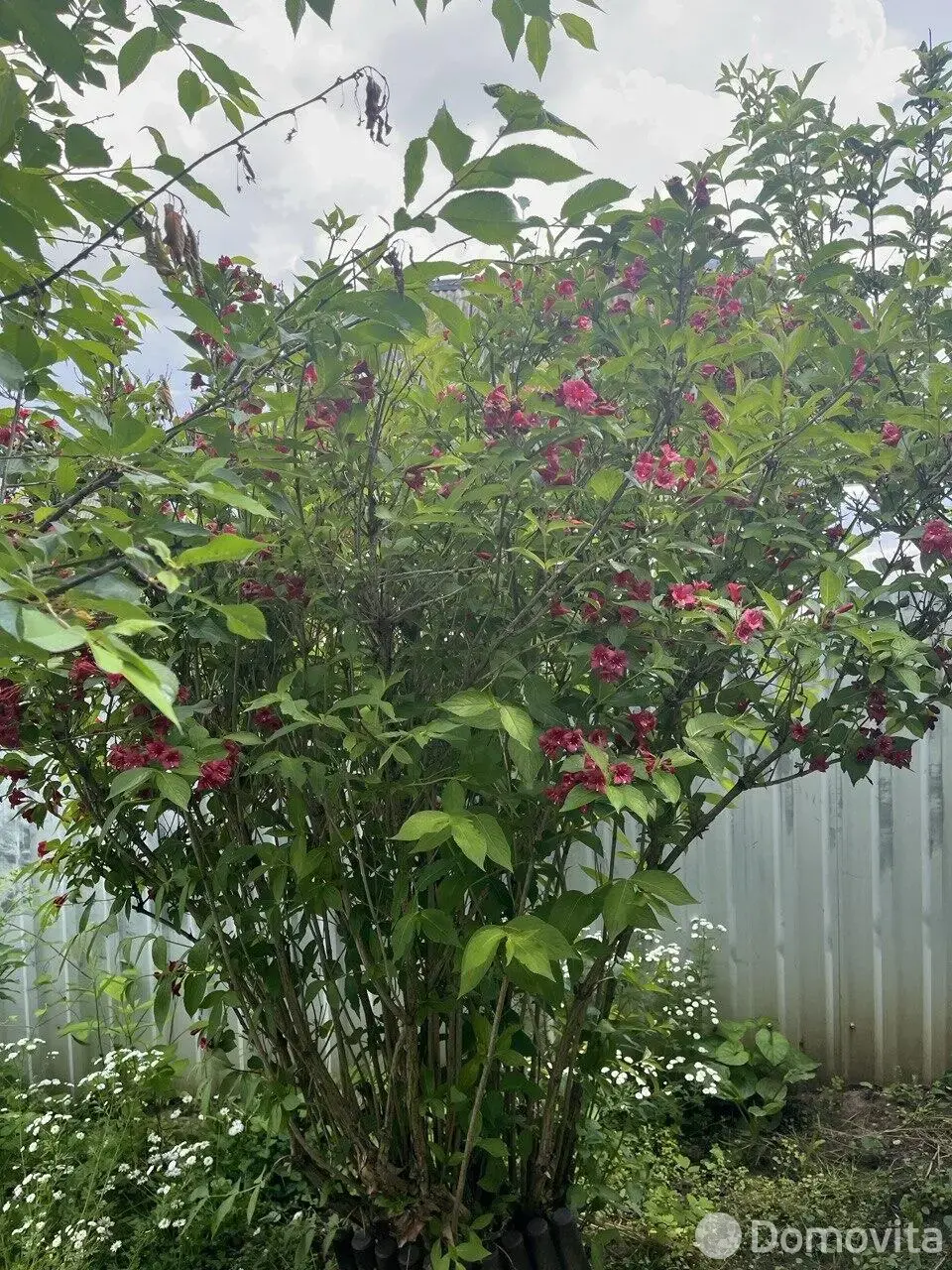 Продажа 3-этажной дачи в Зелёный экспресс Минская область, 90000BYN, код 186286 - фото 34