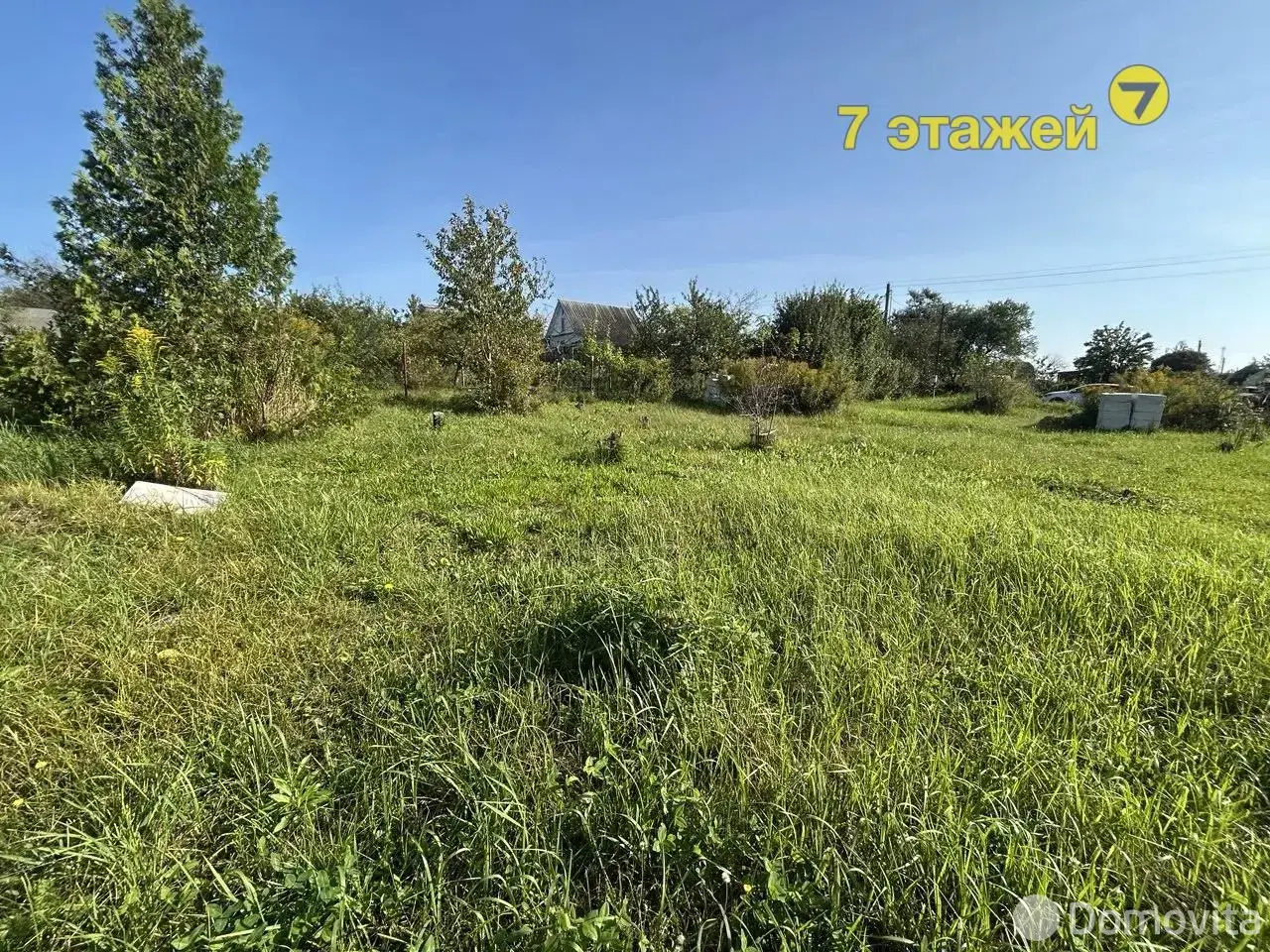 участок, Алеся , 