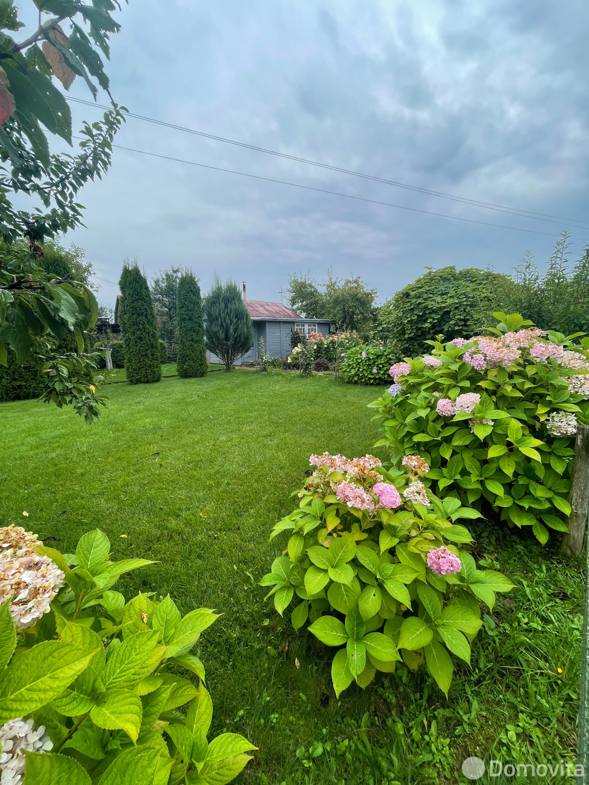 дача, Колосок, 