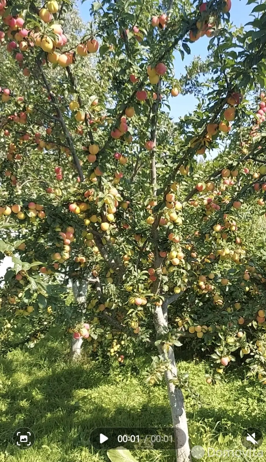 коттедж, Жилевщина, от собственника