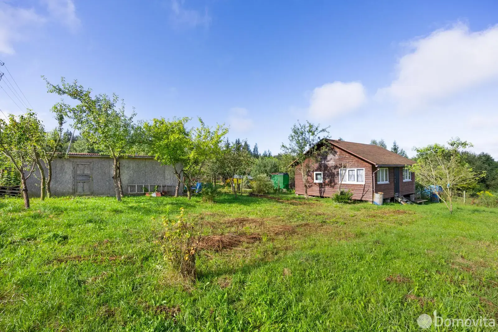 дача, АЛЕСЯ,