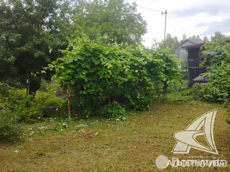 участок, Факел Брестгазоаппарат, 
