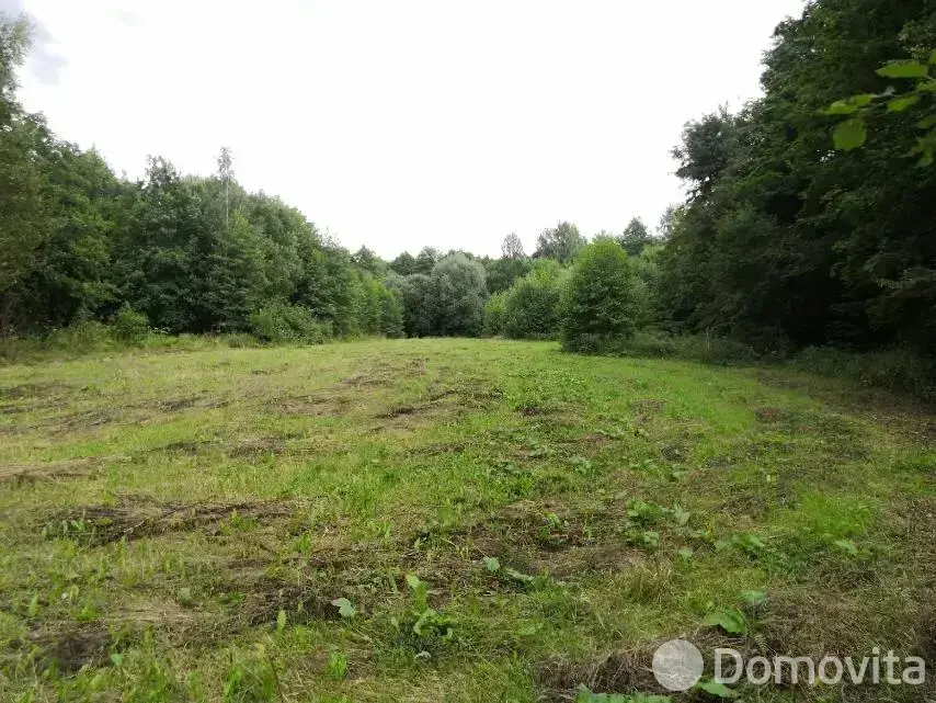 Купить земельный участок, 60 соток, Должа, Витебская область, 25000USD, код 570473 - фото 18