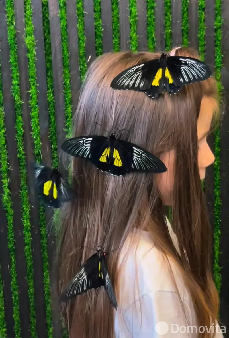 Купить помещение под сферу услуг в Минске, ул. Кирилла Туровского, д. 16 - фото 41