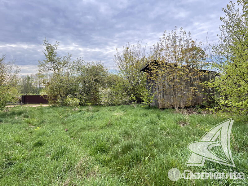 Купить земельный участок, 20.46 соток, Турна Большая, Брестская область, 10500USD, код 567787 - фото 12