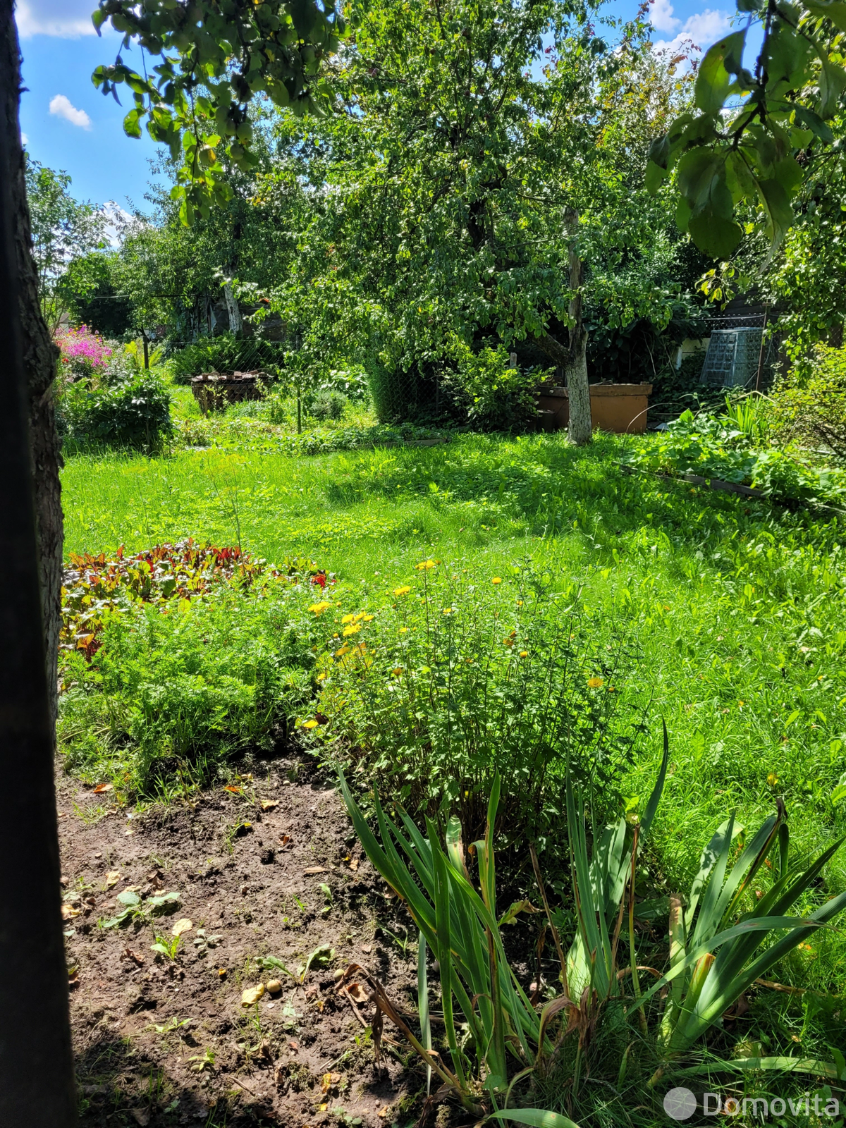 Продажа 1-этажной дачи в Юбилейное Минская область, 17900USD, код 183779 - фото 17