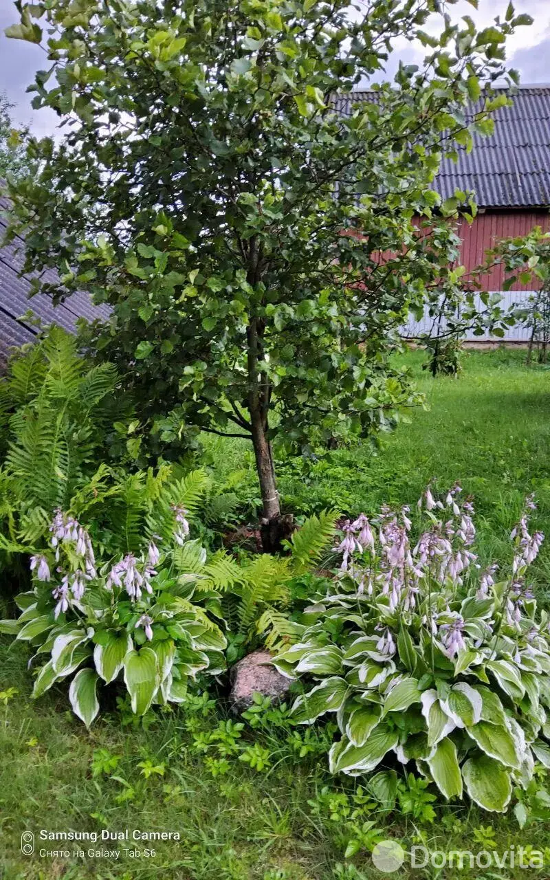 коттедж, Каменка, , стоимость продажи 50 612 р.