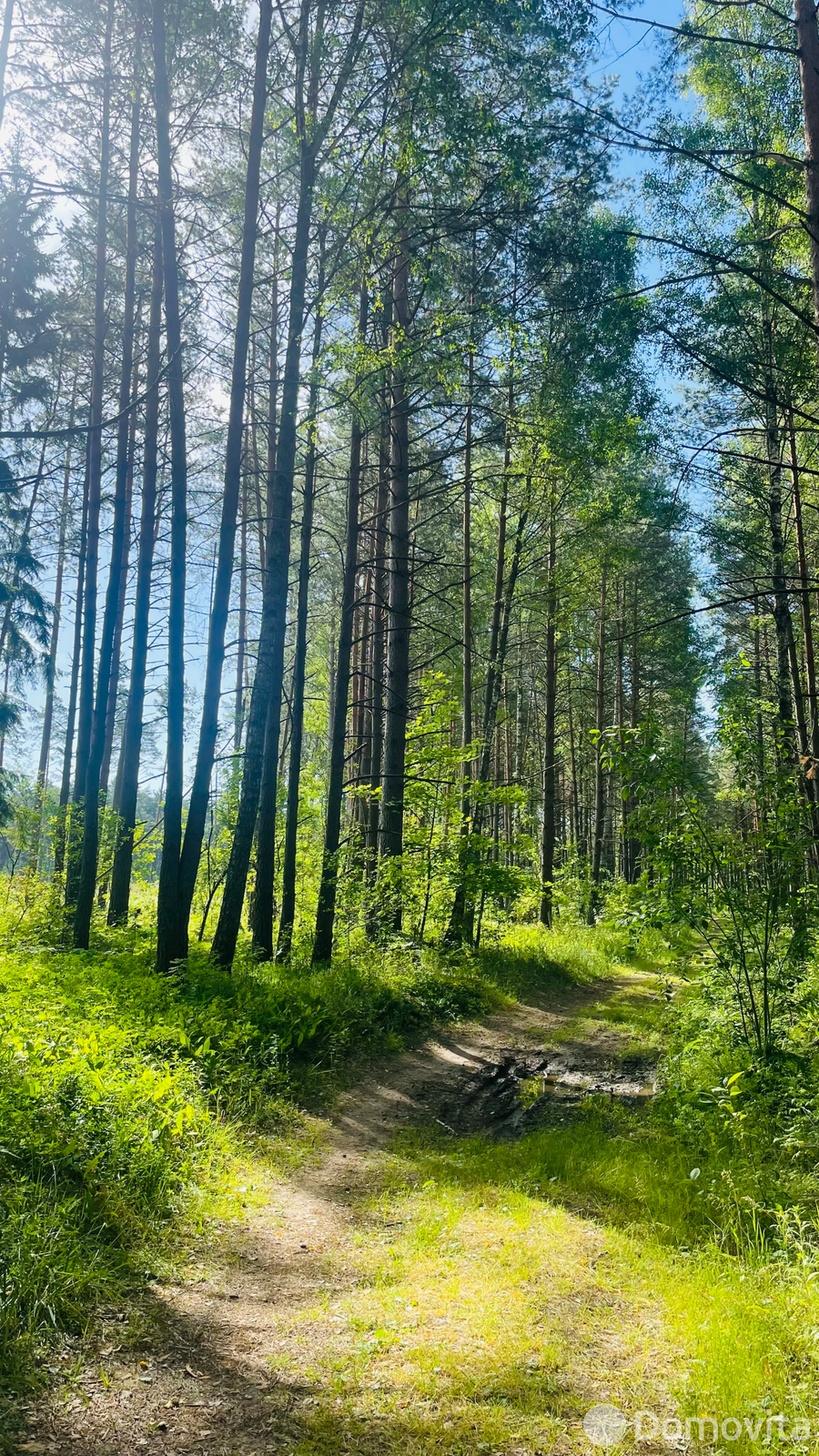 Коттедж «Счастье в_месте» на сутки в Турске ул. Садовая, д. 2, 100BYN, код 1409 - фото 16