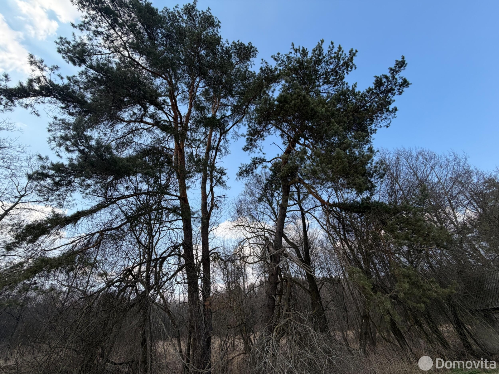 Цена продажи участка, Прилуки,