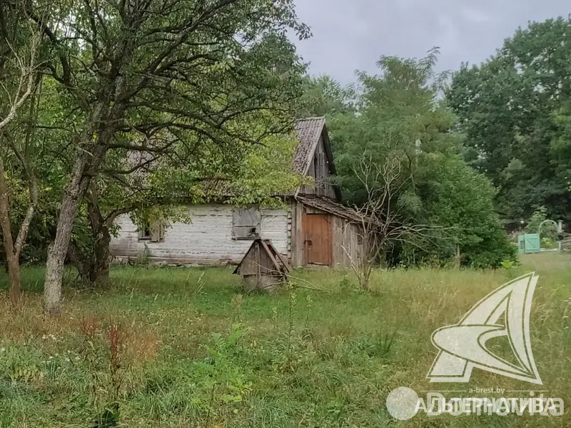 участок, Урожай ОАО Брестхлебопродукт, , стоимость продажи 55 876 р.