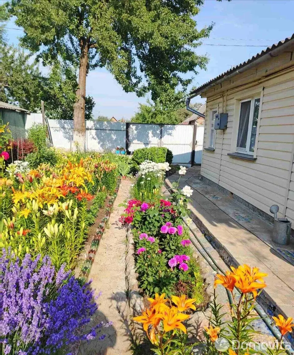 дом, Рогачев, ул. Добровольского, д. 15 