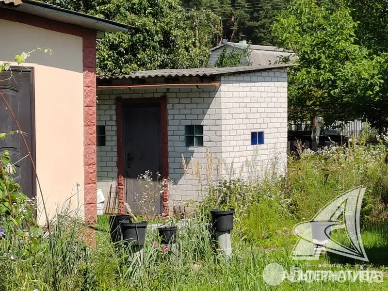 Продажа 1-этажной дачи в Ивушка-91 Брестская область, 29900USD, код 183592 - фото 16