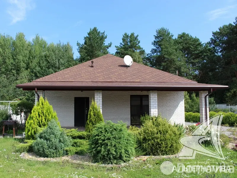 дача, Росинка при Брестском ДЭУ-138, 