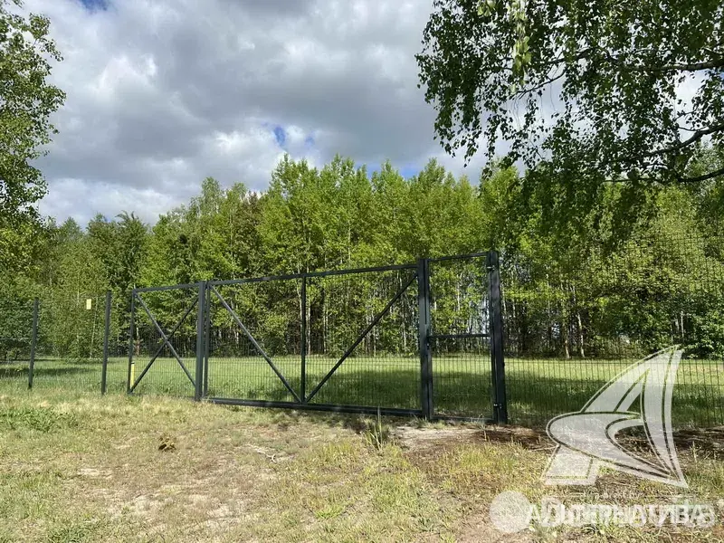 дом, Малые Зводы, 