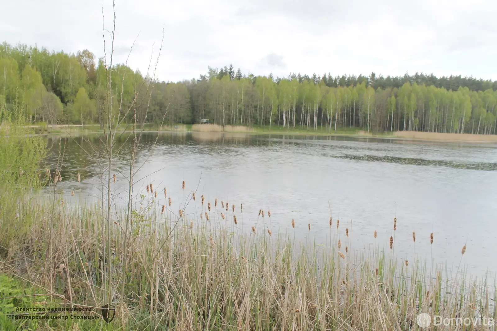 дом, Пруды, ул. Дзержинского, д. 71