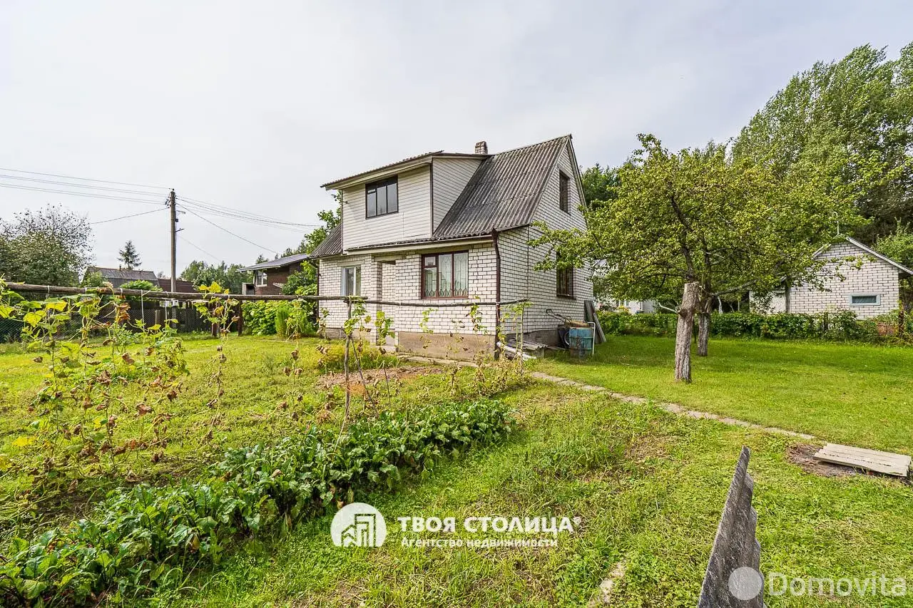 дача, Репортер,