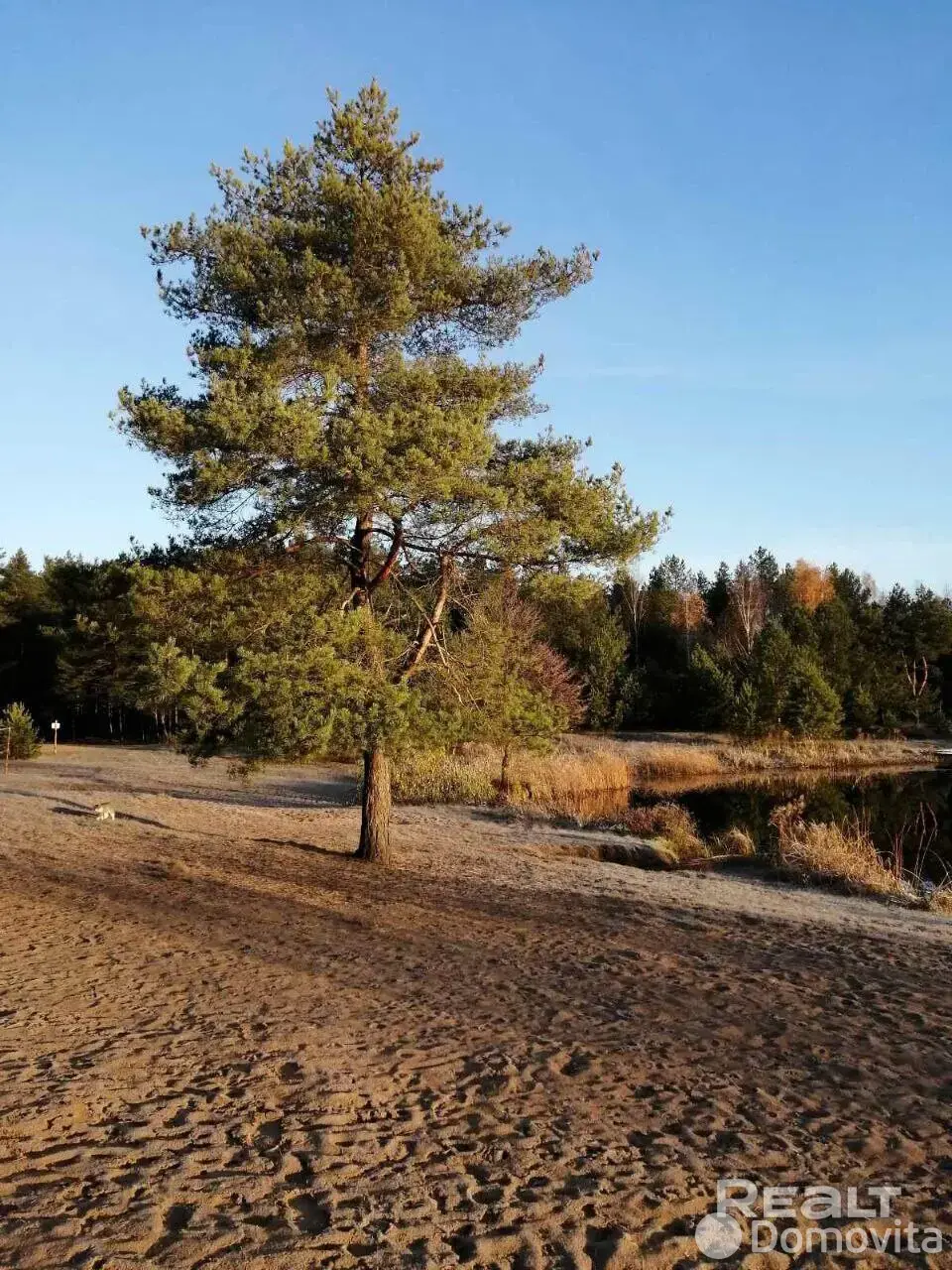 объект сферы услуг, Околово,