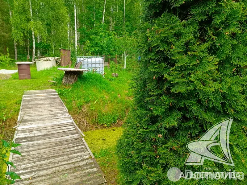 Купить земельный участок, 6.97 соток, Журавинка-83, Брестская область, 11500USD, код 570456 - фото 20