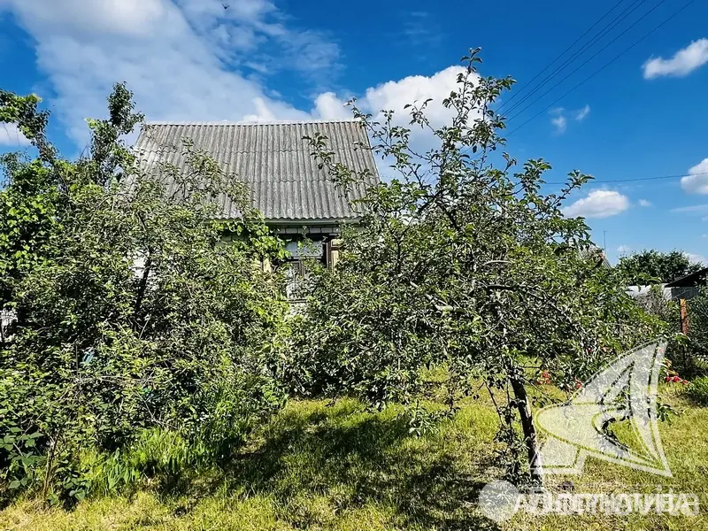 Купить 2-этажную дачу в Росинка при Брестском ДЭУ-138 Брестская область, 99100BYN, код 186230 - фото 28