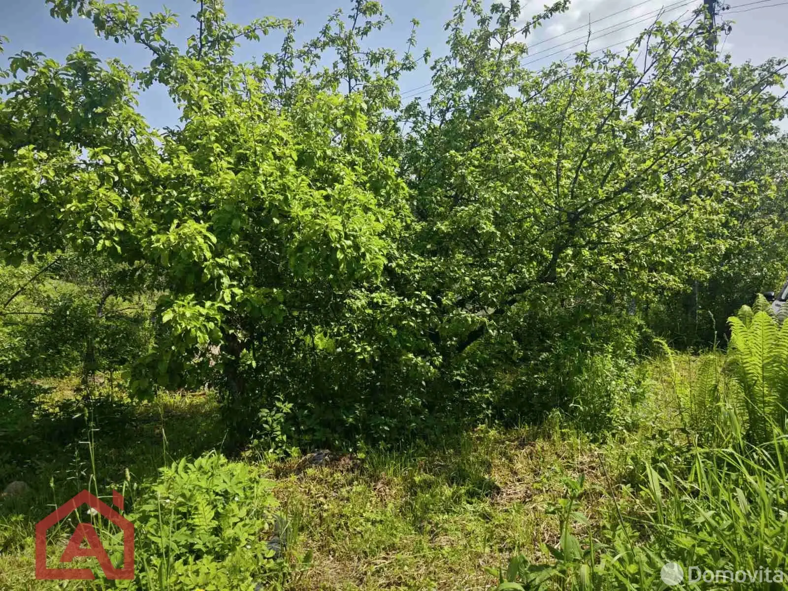 участок, Поляна, 