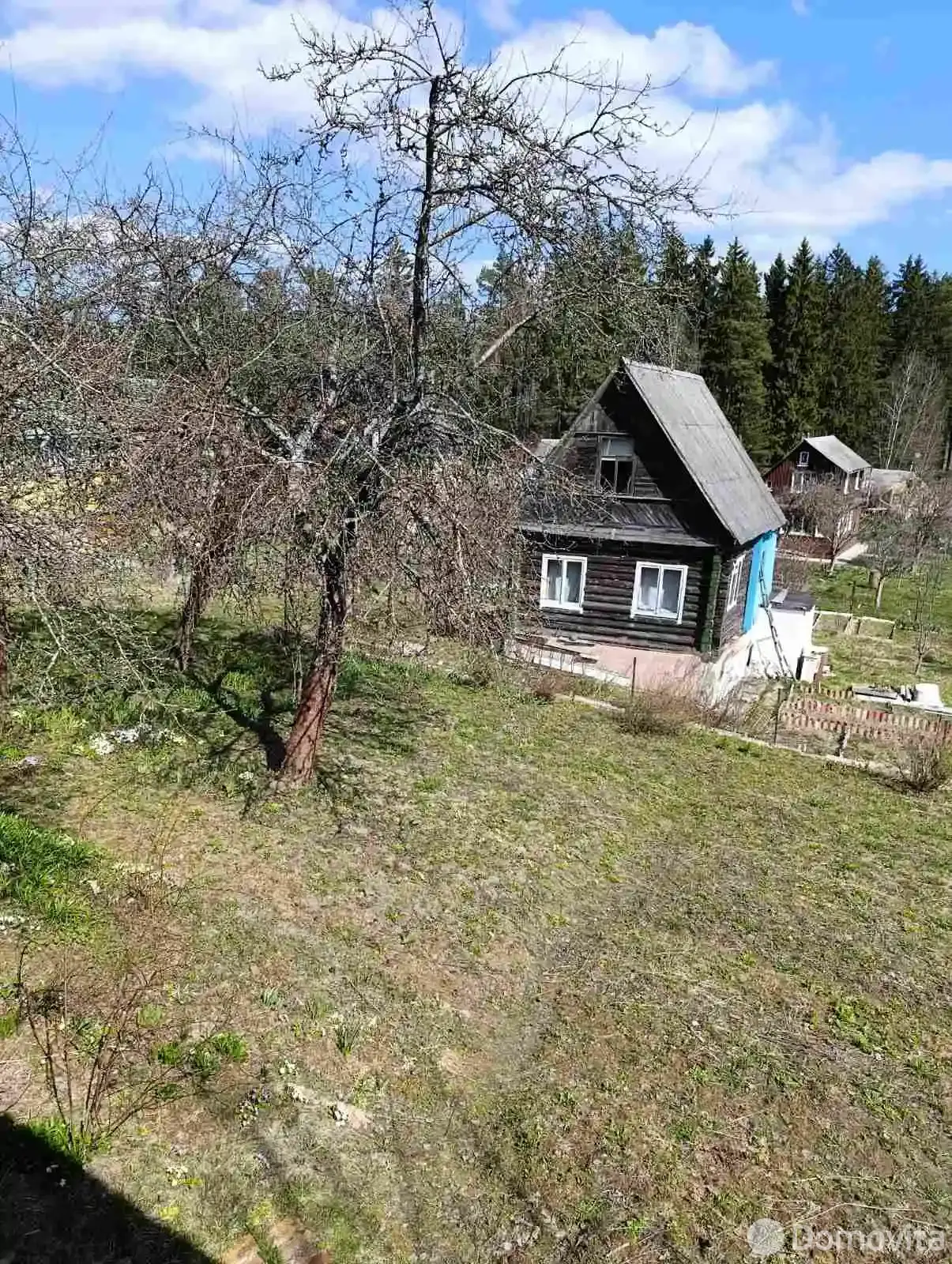 участок, Планета-2001, 