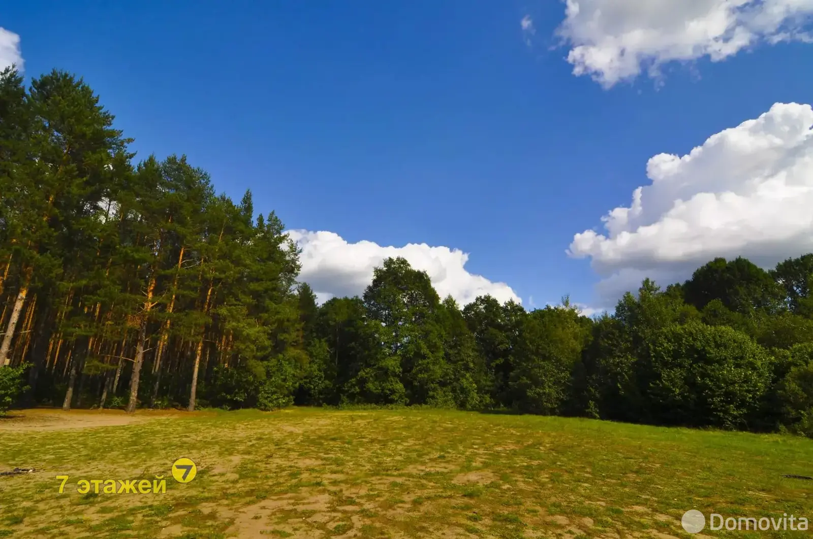 Продажа 2-этажной дачи в Энергостроителе Минская область, 8000USD, код 175338 - фото 39