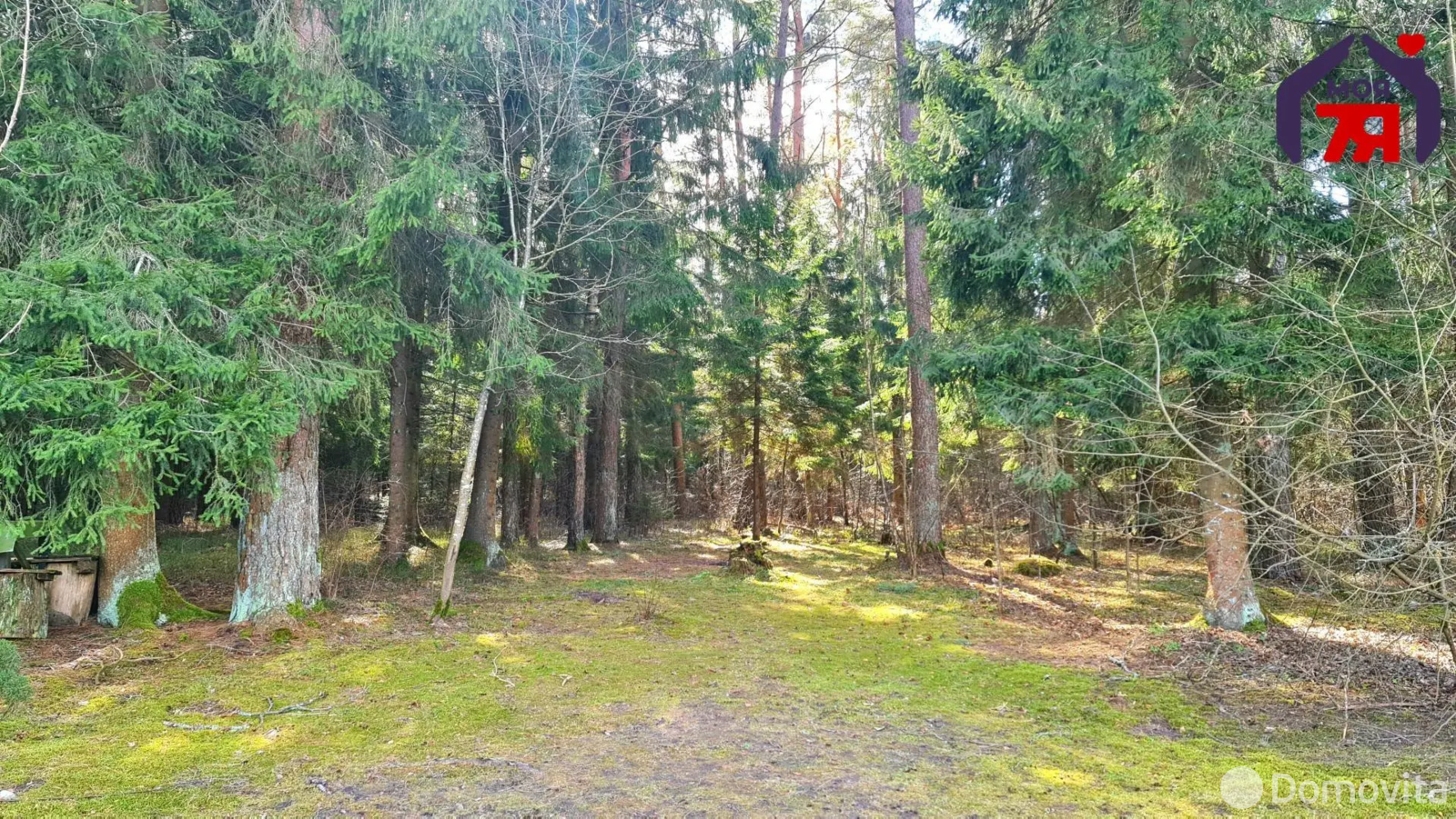 Купить 2-этажную дачу в Родник-2009 Минская область, 47000USD, код 182129 - фото 24