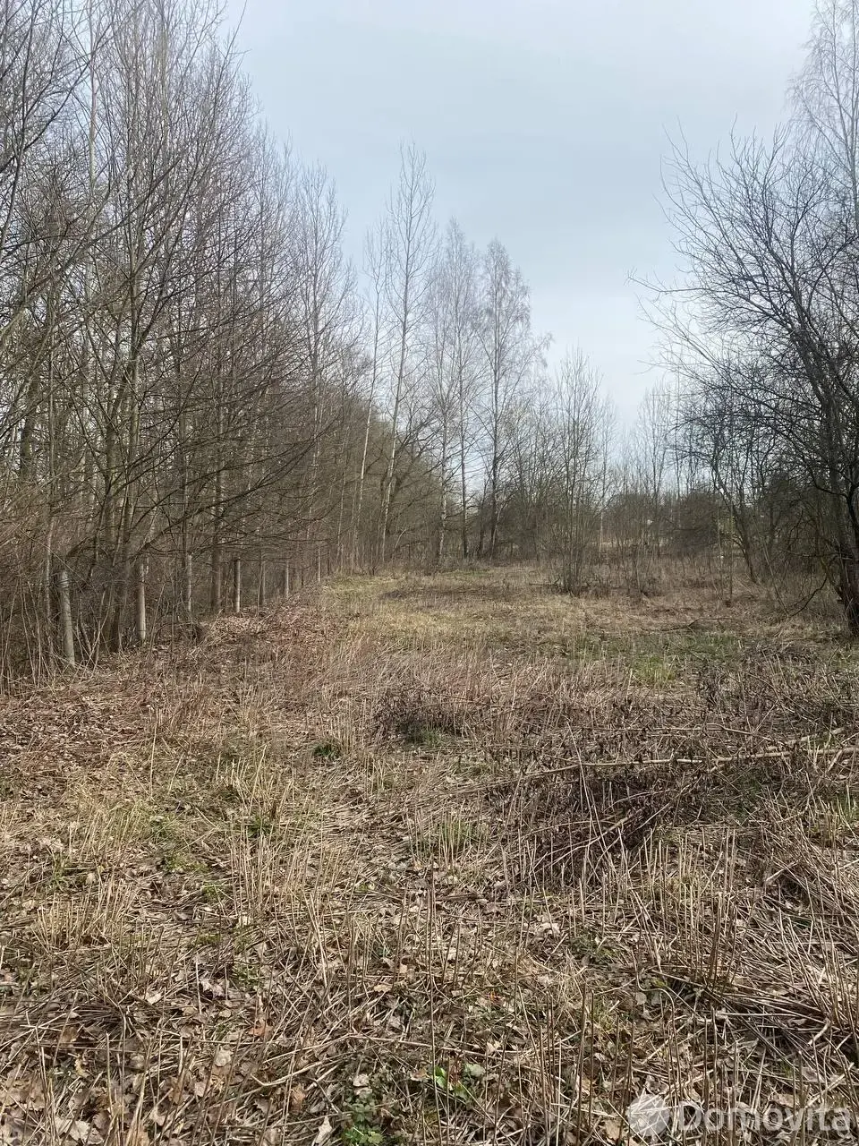 Цена продажи участка, Клыповщина, ул. Центральная