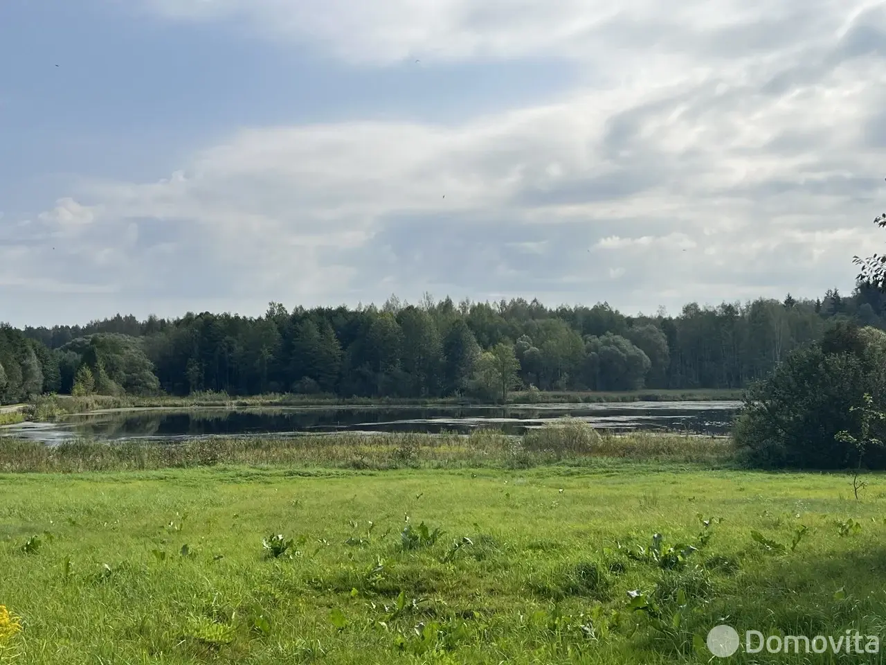 дом, Буденичская Рудня, ул. Природная