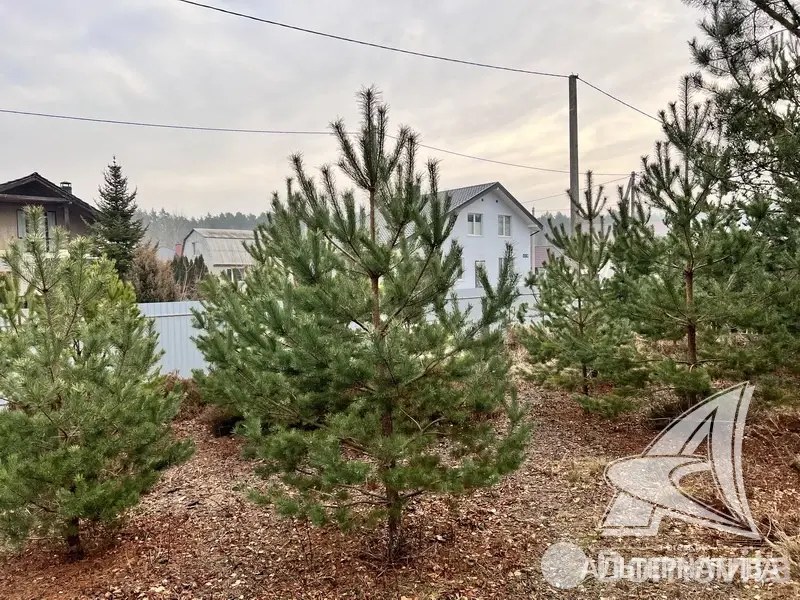 Купить 1-этажную дачу в Алеся-50 Брестская область, 31900USD, код 181350 - фото 24