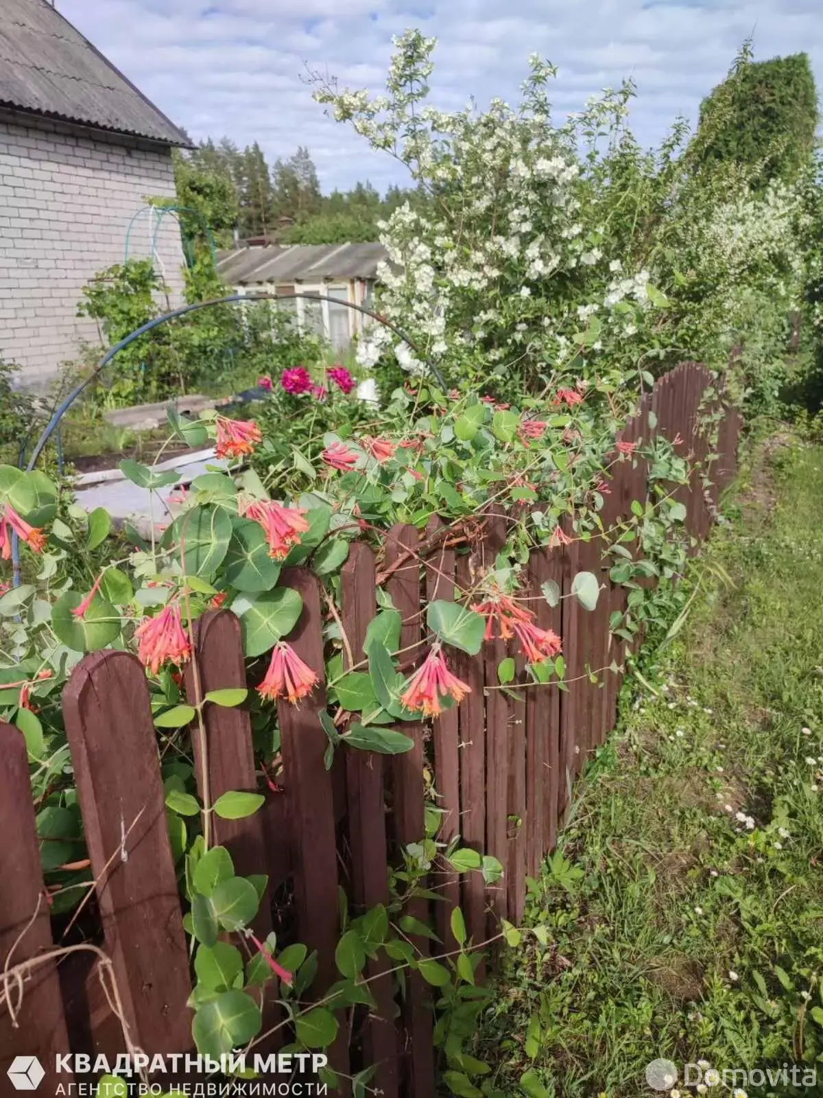 Купить 1-этажную дачу в Сосны-Сад Минская область, 18000USD, код 184258 - фото 17