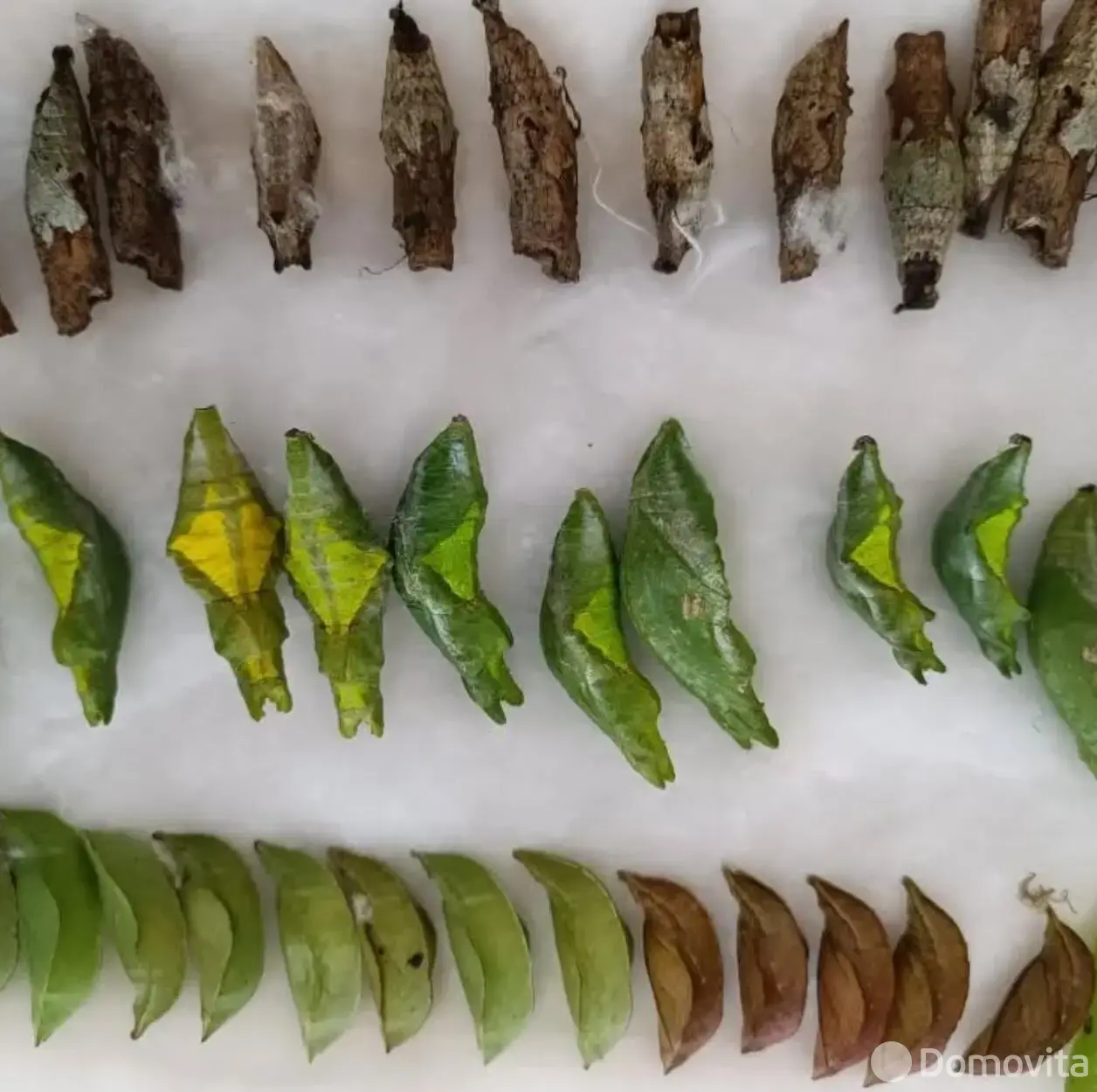 купить торговый объект, Минск, ул. Кирилла Туровского, д. 16