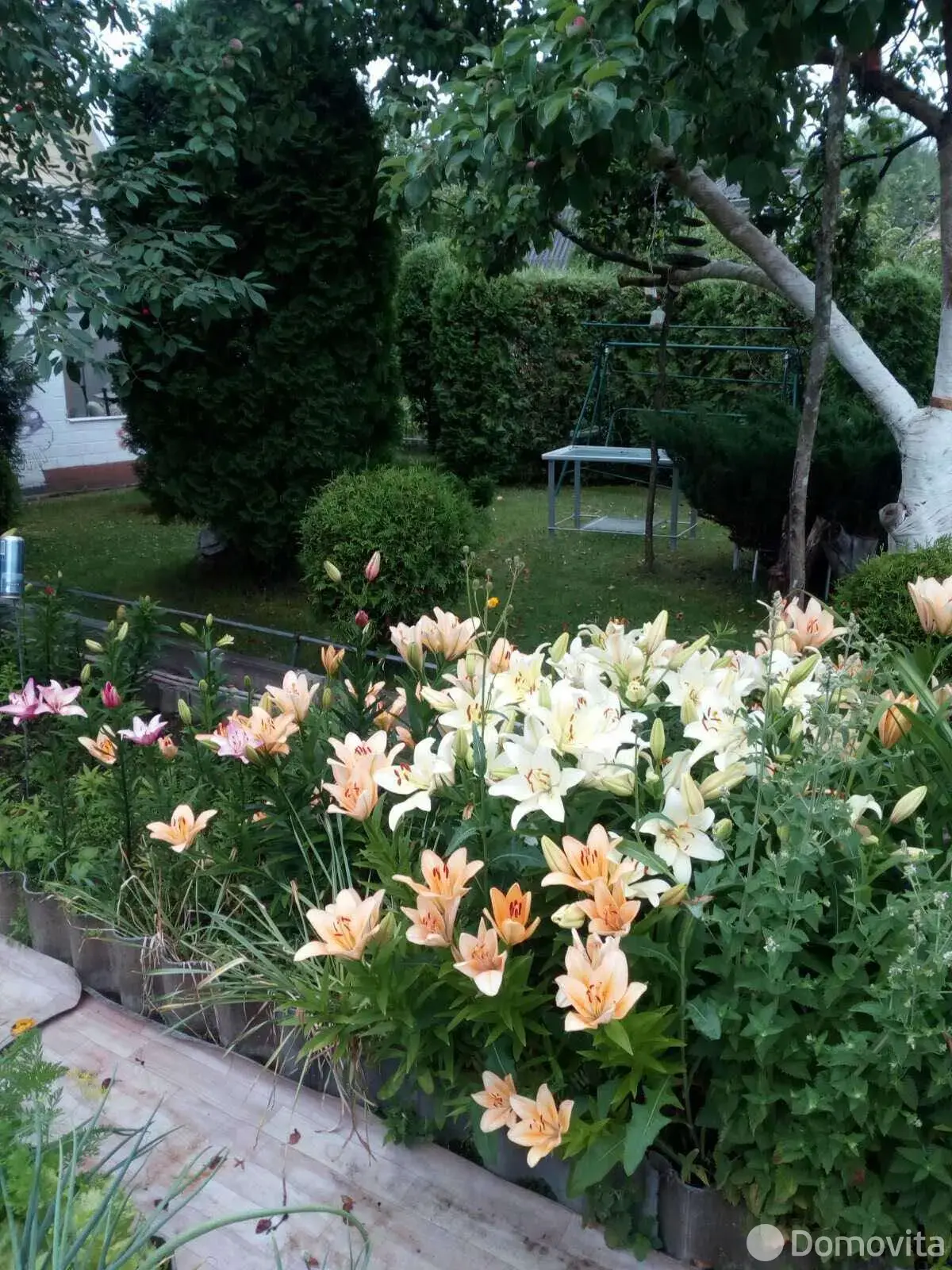 продажа дачи, Вежа-89, 