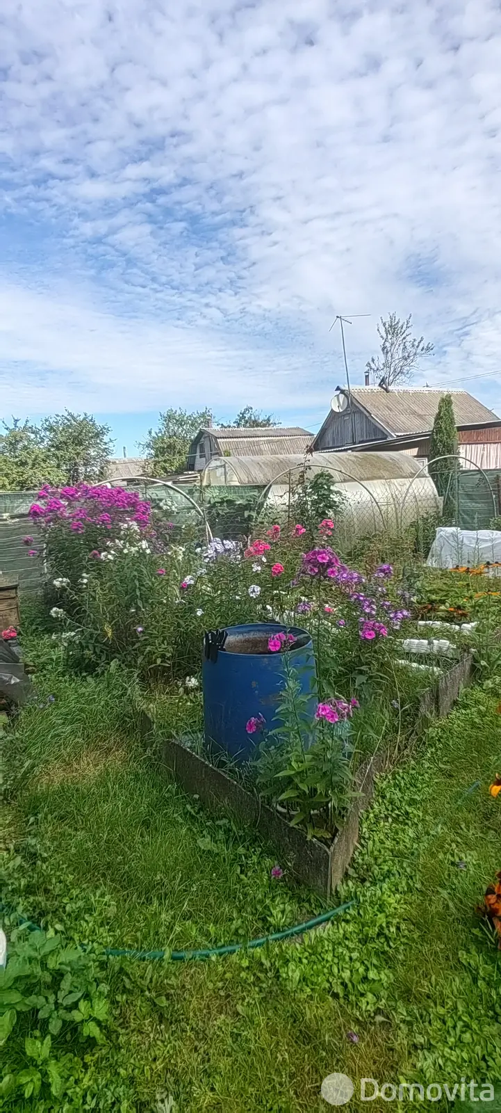 Купить 1-этажную дачу в Лавсанстрой Могилевская область, 5300USD, код 183826 - фото 15