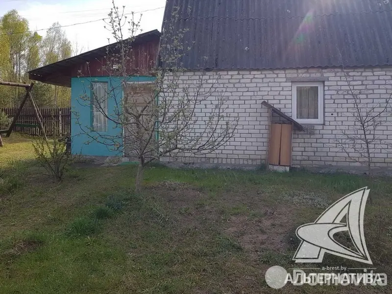дача, Брест, - лучшее предложение