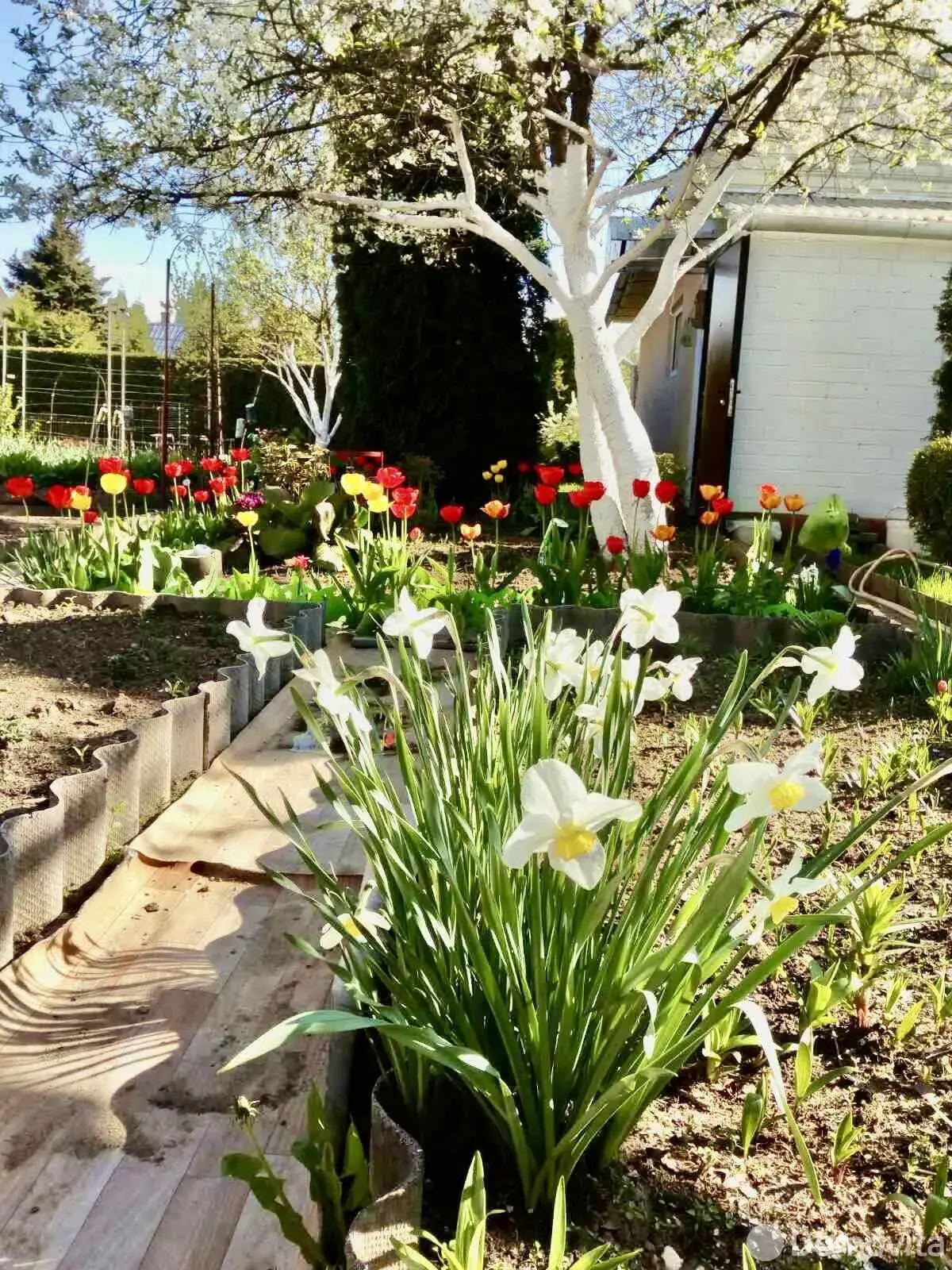 продажа дачи, Вежа-89, 