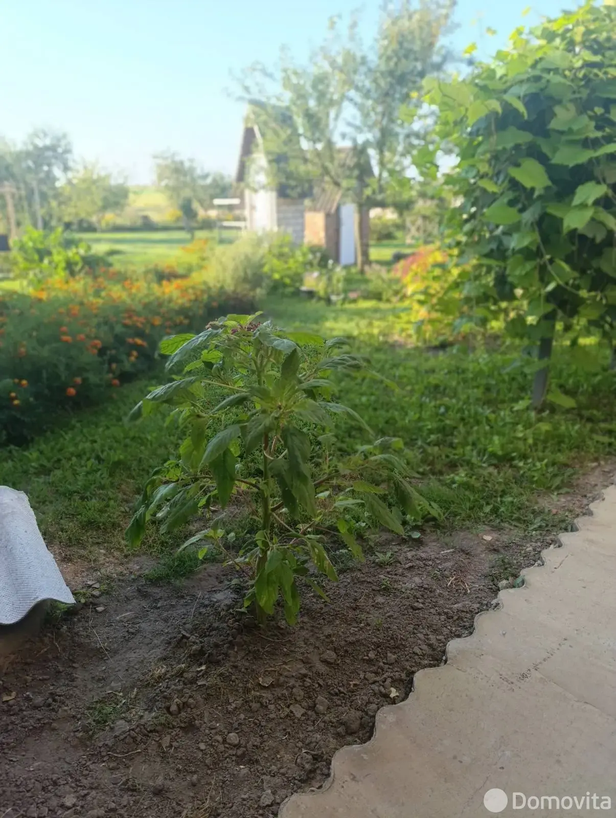 Стоимость продажи коттеджа, Закальное, ул. Дзержинского