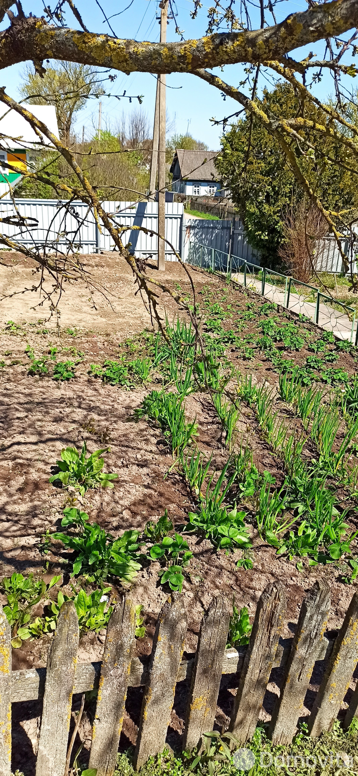 дом, Великая Липа,